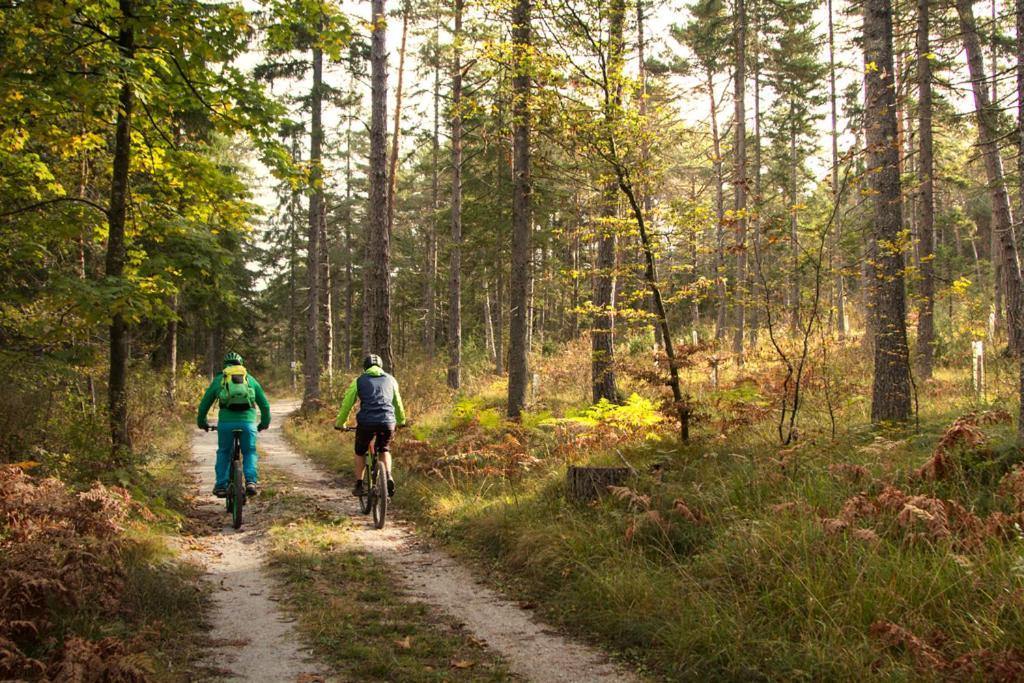 Affittacamere Gaestehaus Trink Drobollach am Faaker See