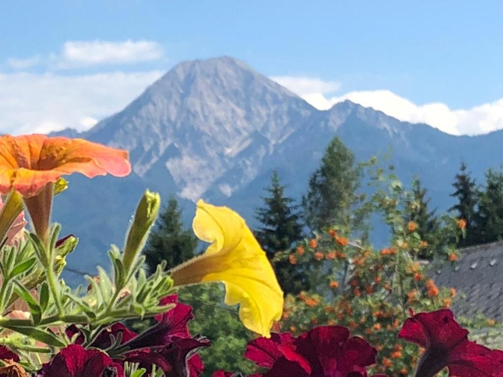 Affittacamere Gaestehaus Trink Drobollach am Faaker See
